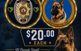 Caine Challenge Coin