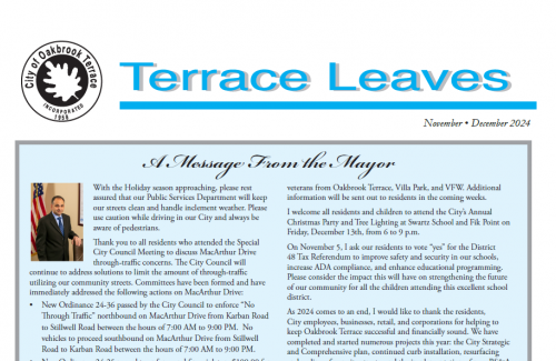 nov-dec2024-terraceleaves
