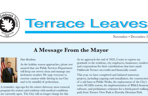 November-December 2025 Terrace Leaves