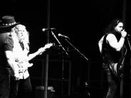 summer concert 4760