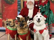 christmas-party-2025-5