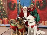 christmas-party-2025-22