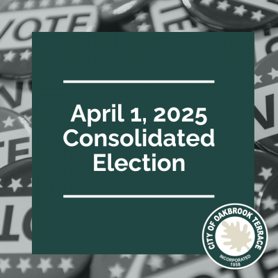 2025 Consolidated Election