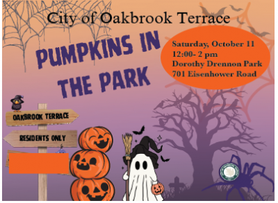 pumpkins-in-park-2025