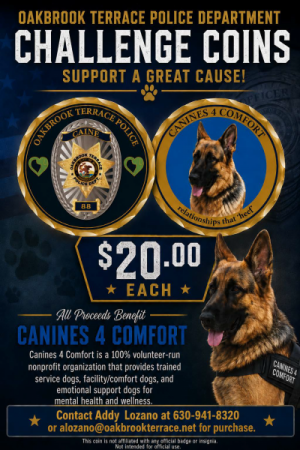 Caine Challenge Coin