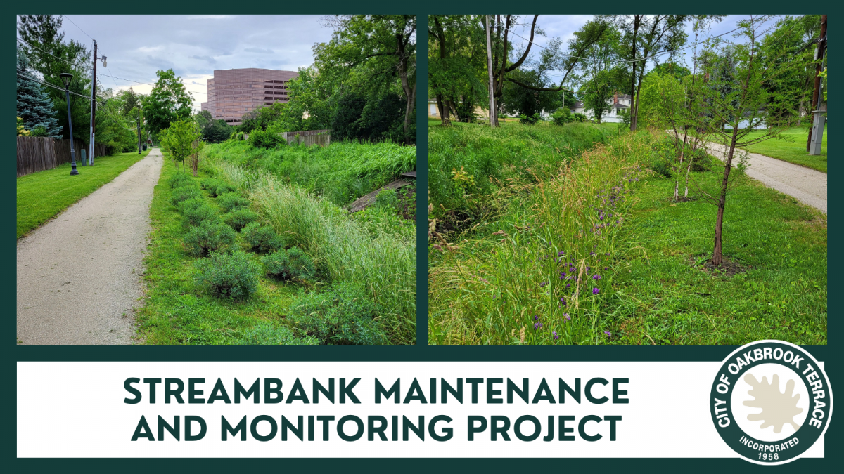 streambank maintenance